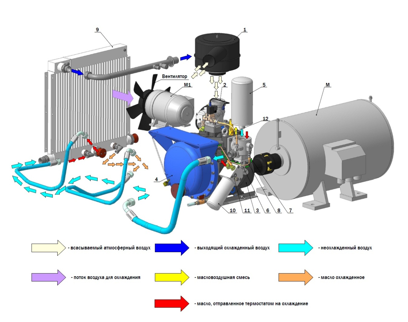 Схема циркуляции воздуха в винтовом компрессоре